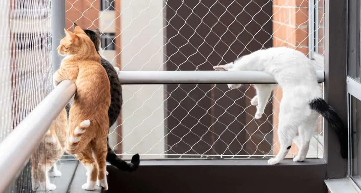  Pets Safety Nets 